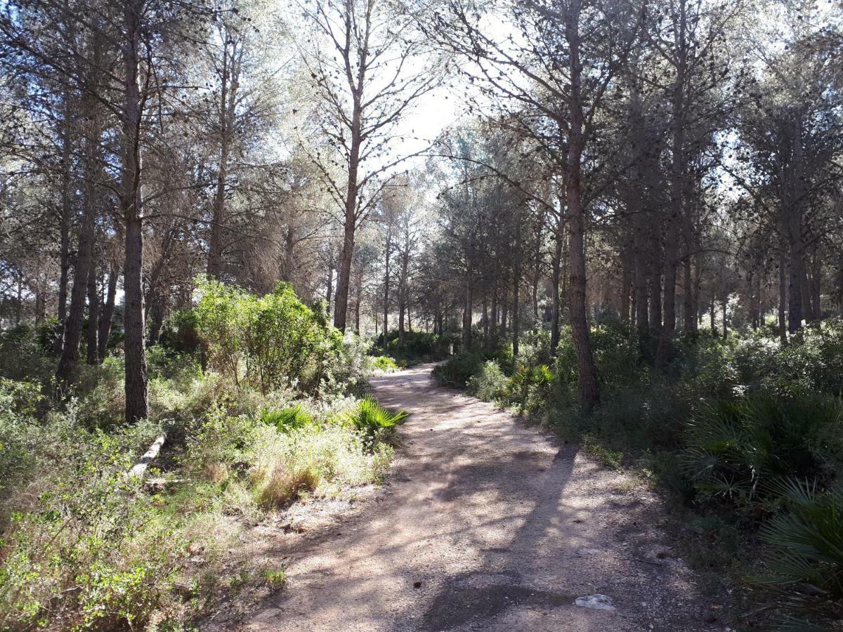 Amborget Villa San Jorge  Kültér fotó